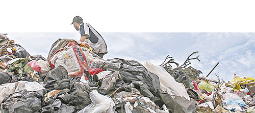 La acumulación de basura causa graves daños a los ecosistemas locales.