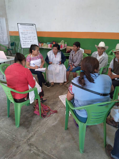 El producto es orgánico y de calidad. Discusión en taller de determinación de calidades de café, sede Santiago Yancuictlalpan.