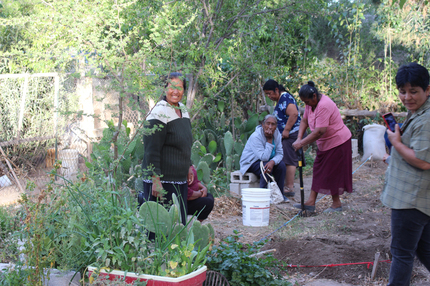 Curso de agroecología con mujeres campesinas.  Guadalupe Macías