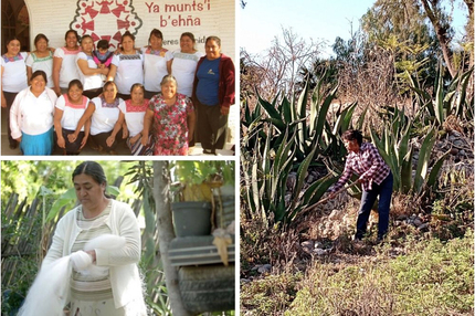 Artesanas de la cooperativa “Mujeres reunidas”.  corazon-verde.com.mx