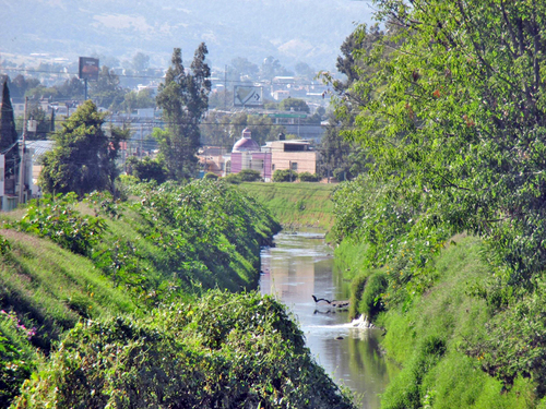 Rescate de un río urbano Tzitzi,   Sharhi Delgado Lemus