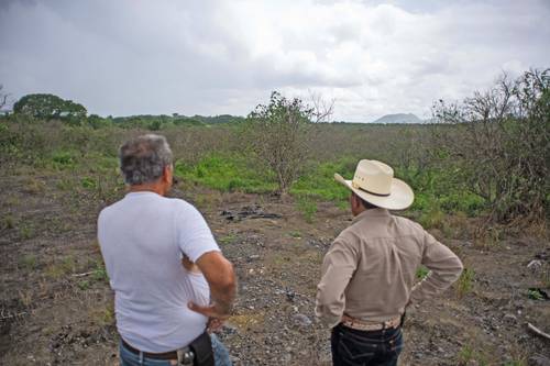 Productor de naranja del ejido Moyutla, municipio de Tepetzintla, Veracruz, muestra las afectaciones a su cosecha por el dragón amarillo o huanglongbing y denuncia la falta de apoyo de autoridades de los tres niveles de gobierno.