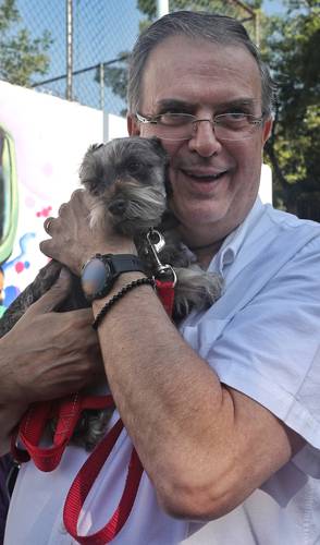 EBRARD PROPONE UNA RED DE PROTECCIÓN ANIMAL. Marcelo Ebrard, ex secretario de Relacio-nes Exteriores, encabezó ayer un acto con dueños de mascotas en el Jardín Pushkin de la colonia Roma, en la Ciudad de México, donde respaldó las acciones de la Red Nacional de Protección Animal. El candidato a la coordinación de los comités de defensa de la 4T acudió con su perrita Luna.