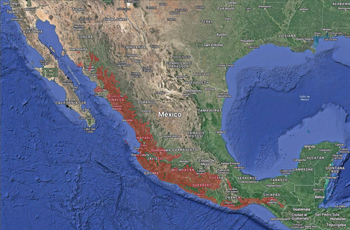 Distribución en México del Coyotomate, la cual coincide con la selva seca, conocida como bosque tropical caducifolio. EncicloVida-CONABIO