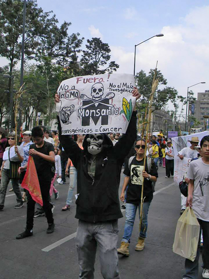 Marcha mundial contra Monsanto en la CDMX. 2016.  Enrique Pérez S. / LJC