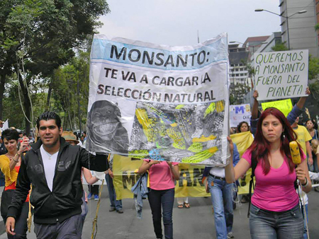 Marcha mundial contra Monsanto en la CDMX. 2016.  Enrique Pérez S. / LJC