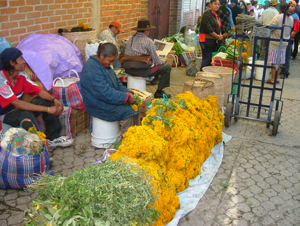 Figura 4. Pericón a la venta en el tianguis de Ozumba, Edo. Mex. (2004)  E. Linares