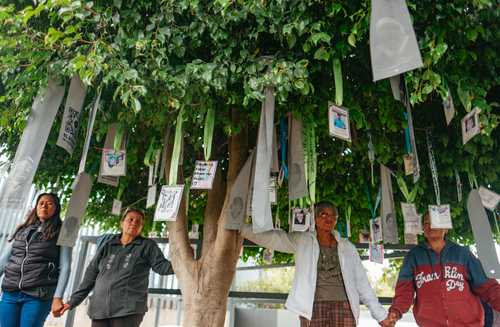 Madres integrantes del colectivo Hasta Encontrarte, con sede en Guanajuato, rodean el Árbol de la Memoria, en Irapuato. En sus plegarias piden que “su fruto sea encontrar a las personas desaparecidas”.