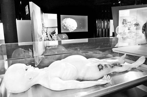 Una figura del artista Jon Humphries que apareció en la película Alien Autopsy, la cual se exhibió en el Museo de Ciencias y Planetario de Miami.