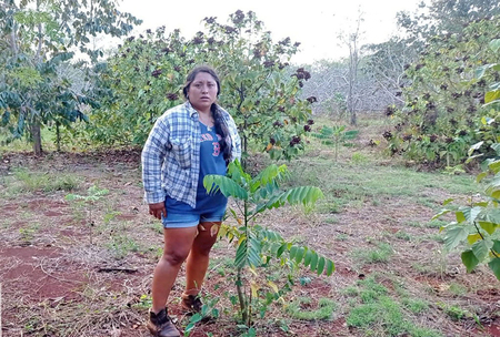 Sury Rocio Perez Tejero, Unidad de Prodccion Sembrando Vida.  Guadalupe Perez