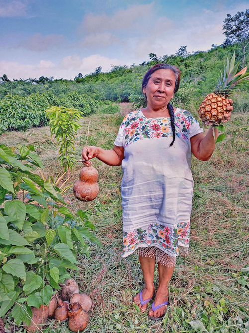 Deysi Tzec Moo es una sembradora de San Simón muy alegre y con el mismo sentimiento muestra los primeros frutos de su MIAF, un lek y una piña, junto a sus plantas de achiote y guanábana que están en crecimiento.  Olaine Díaz Zenteno