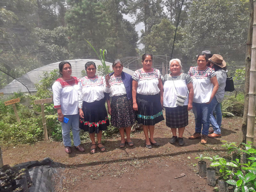 Mujeres.  Lorena Paz Paredes