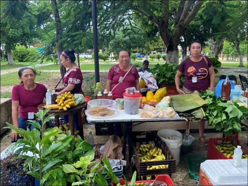 Sembradoras de la CAC Los Cocoyoles, al centro Ana María Luisa May Chay.  Odilia Rojas López