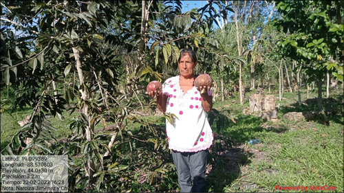 Sembradora Narciza Jiménez Y Chi en su unidad de producción.  Juan Bautista Dzib Chan