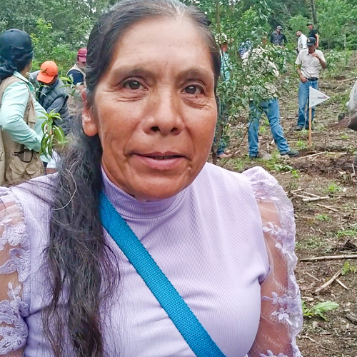  Cortesía Secretaría del Bienestar