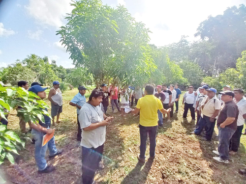 Intercambio de experiencias entre sembradores y sembradoras para el manejo de podas y aplicación compostas en frutales. Carlos Valdez Ramírez