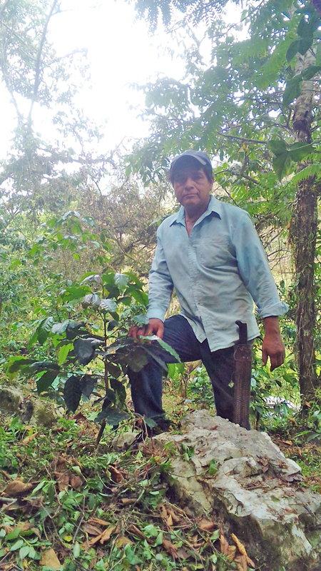 Hermelindo Lorenzo Pérez en su parcela.  Gabriel Hernández