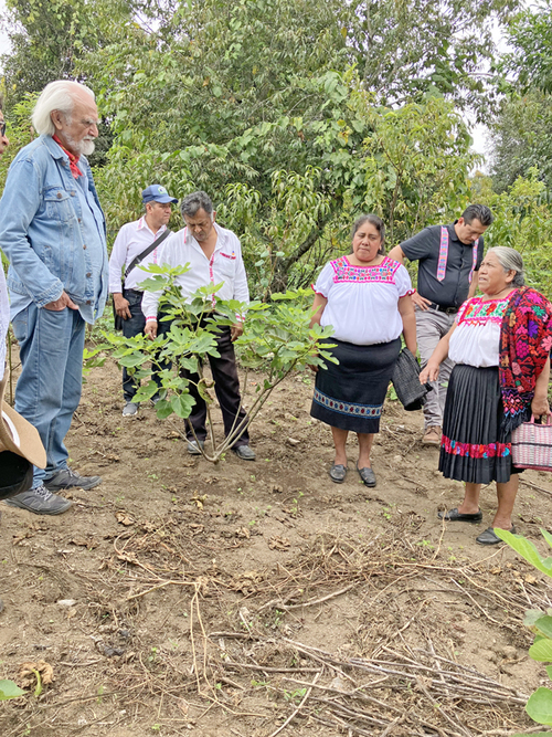 Huayapán, Puebla. Yolanda Massieu