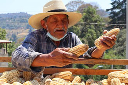 Don Cirilo Tovar.  Daniela Casimiro