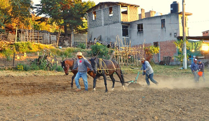 Hijos de Don Heraclio Peña (Orlando y Octavio Peña).  Daniela Casimiro