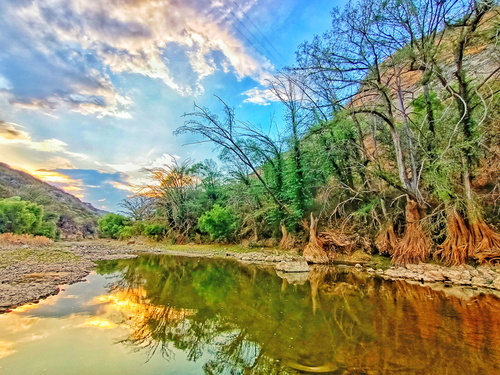 El río verde.  Blanca Gutierrez