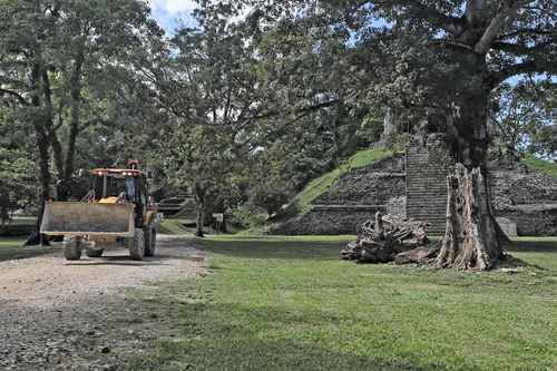 Se nos está disparando la cifra de visitantes a Palenque
<br>
<br>