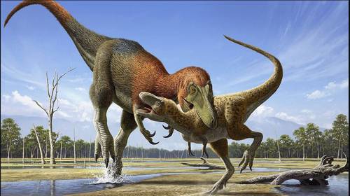Fossils attributed to a young Tyrannosaurus rex are from another smaller species