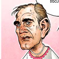 Mostrar el cartón