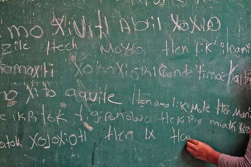 Educación multilingüe es crucial para la inclusión de las lenguas indígenas: ONU