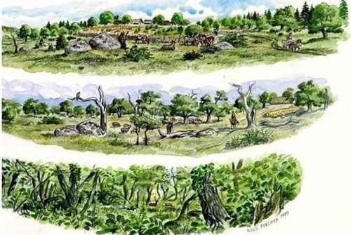 Nutshells reveal what Mesolithic forests were like