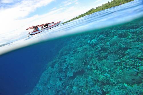 Alta probabilidad de que 2024 sea el año más cálido de que se tenga registro: ONU