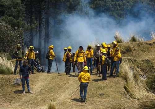 Afectan a Durango cinco incendios forestales; 4 en zona indígena