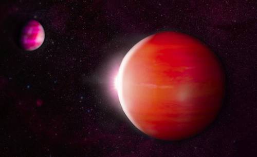 There are 4 times more stars in the Sun's neighborhood than brown dwarfs.