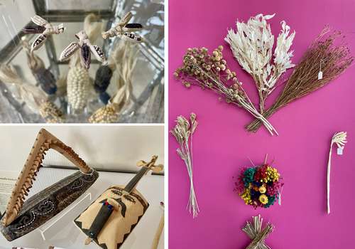Exploring the Rich Diversity of Mexican Agrobiodiversity: A Journey through Artifacts and Crafts