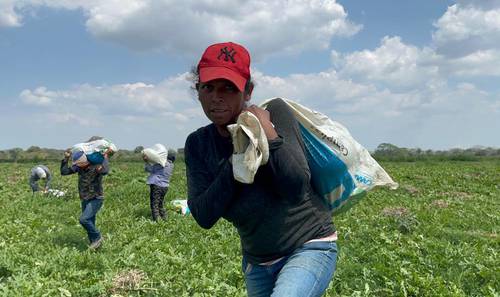 Alertan defensores de carencias en educación y salarios dignos
<br>Jornaleras sufren males crónicos por los cambios de clima y la alimentación