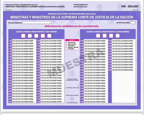 INE will use 2024 savings to print judicial voting ballots Photo