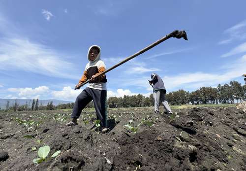 Illegal labor practices prevail in Mexicali and San Quintín Photo