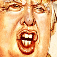 Mostrar el cartón