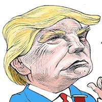 Mostrar el cartón