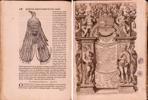 Galileo Museum of Florence makes the Mexican treasure available to the public