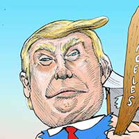 Mostrar el cartón