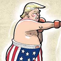 Mostrar el cartón