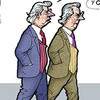 Mostrar el cartón
