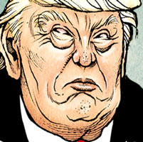 Mostrar el cartón
