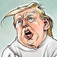 Mostrar el cartón