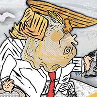 Mostrar el cartón