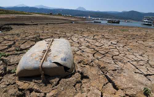 They alert the deterioration of water bodies on the Mexico-EU border Photo