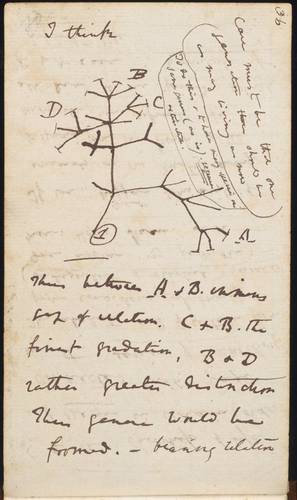 UNESCO inscribes Ica’s collection, in Mexico, in the world’s memory record