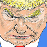 Mostrar el cartón