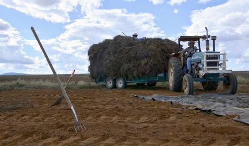 Trabas burocráticas son el principal problema del agro zacatecano: dirigente